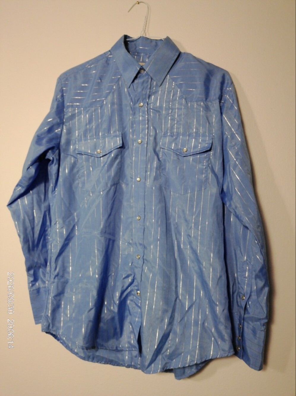 Vintage Metallic Silver Stripe Blue Pearl Snap Western Shirt - Size M